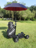 Golf Electric Scooter