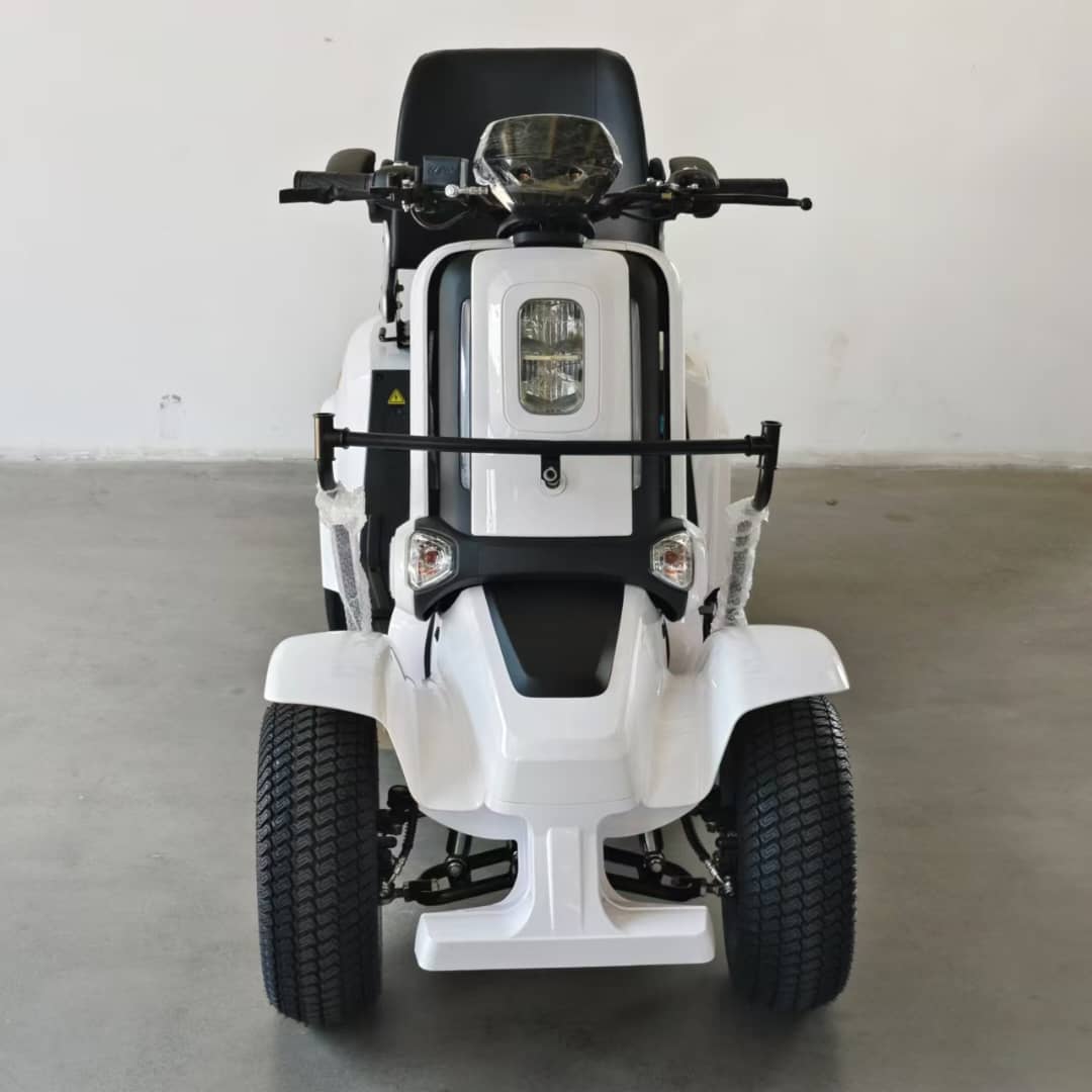 Golf Electric Single User Cart