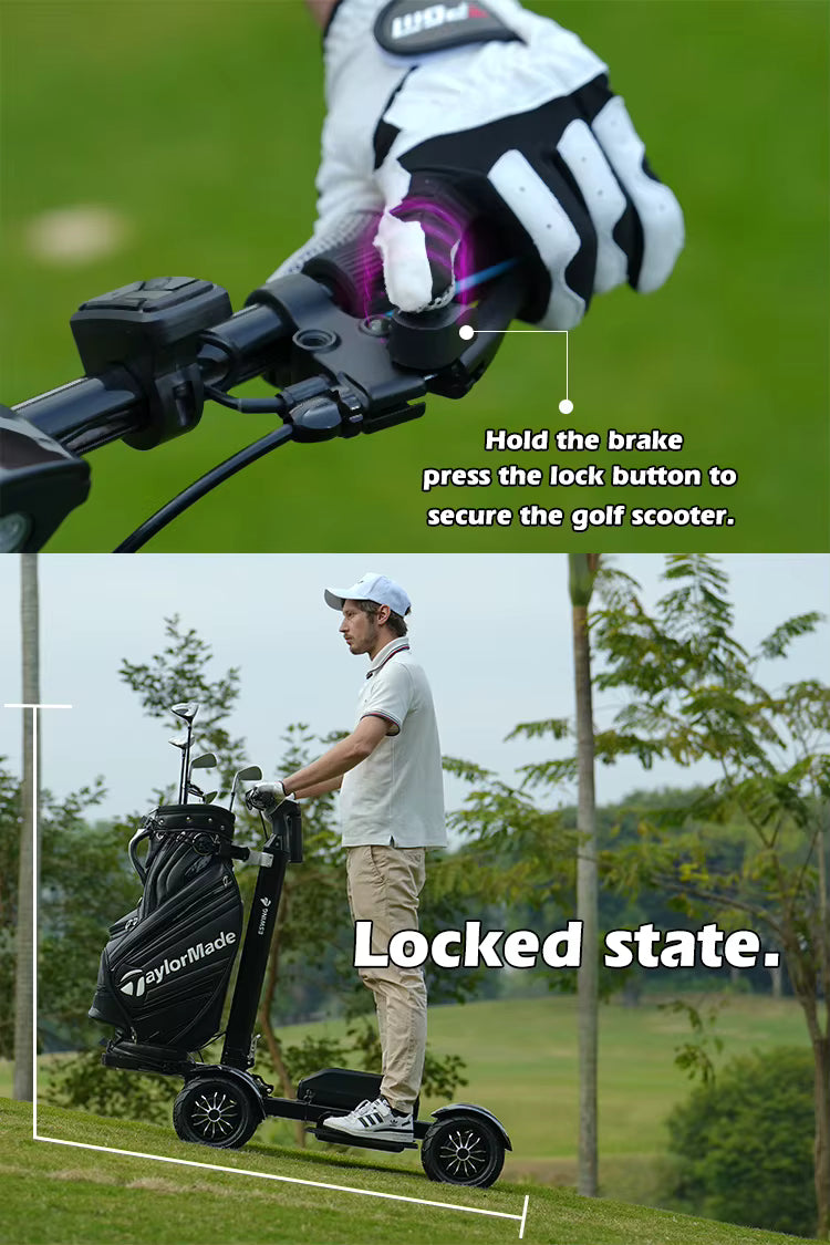 Golf Electric Scooter
