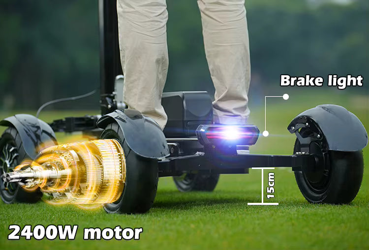 Golf Electric Scooter