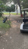 Golf Electric Single User Cart